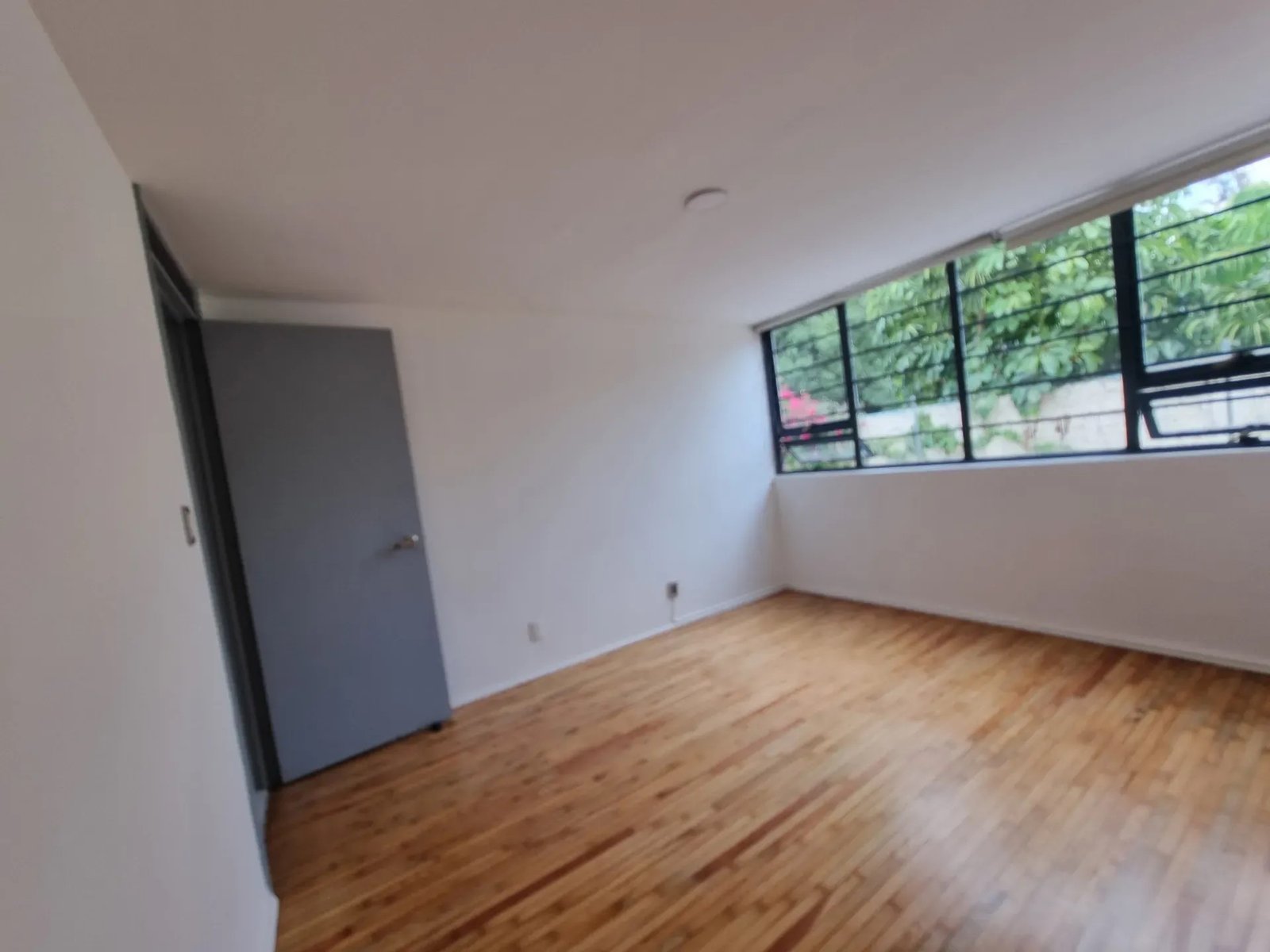 EXCELENTE CASA EN EL CORAZON DE COYOACAN - Miniatura 22