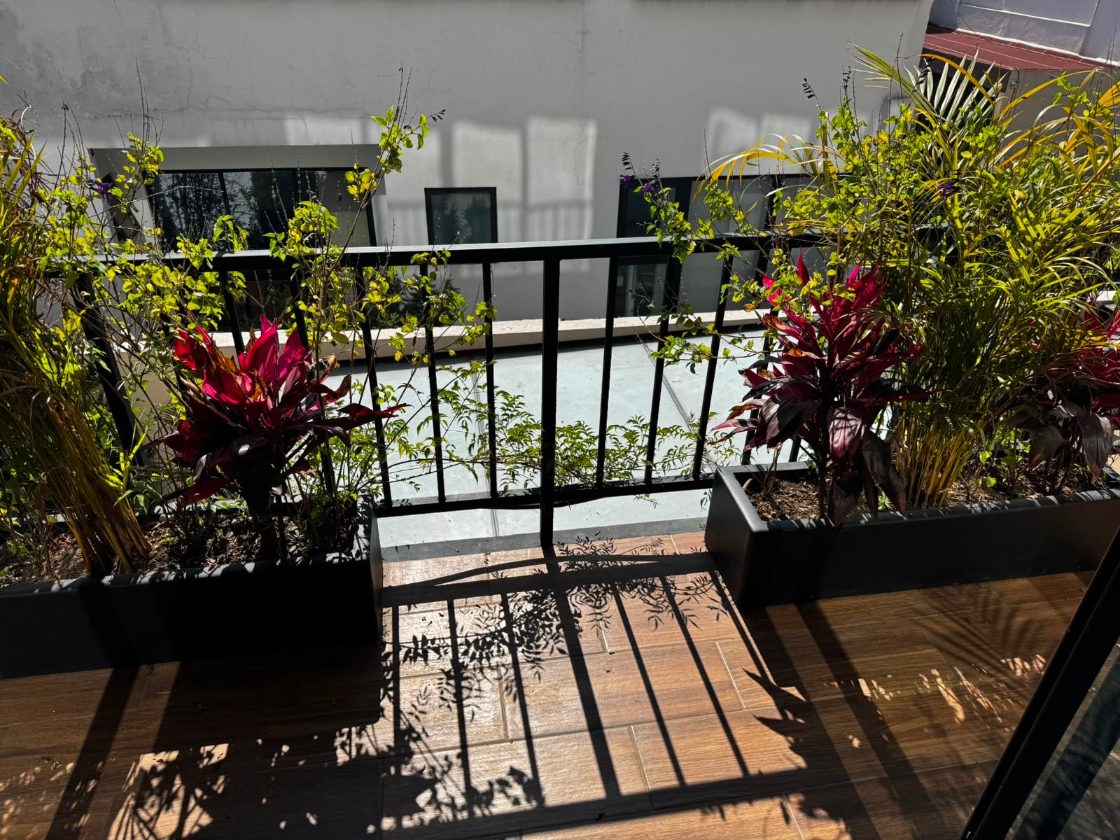 Espectacular Departamento Casi Nuevo en Las Águilas | 2 Rec, 3 Baños, 2 Estacionamientos - Miniatura 5